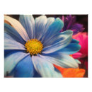 Search for blue paint photography Nature