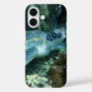 Search for turtle picture electronics Sea