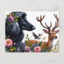 Search for afghans postcards Cute