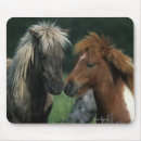 Search for imaging touch electronics Equestrian