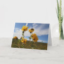 Search for prairie cards Manitoba