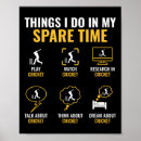 Search for cricket sport posters Stump