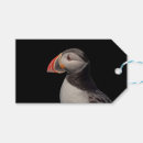 Search for puffin crafts party Animal