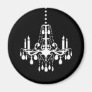 Search for fancy magnets Elegant