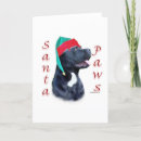 Search for cane corso cards Breed