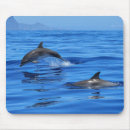 Search for wildlife mousepads Blue