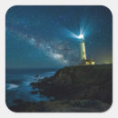 Search for pigeon stickers Photography