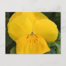 Search for closeup postcards Garden