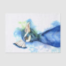 Search for peacock bird Blue