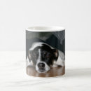 Search for molly mugs Dog