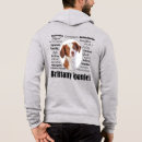 Search for brittany spaniel Animal