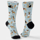 Search for border terrier clothing Cute