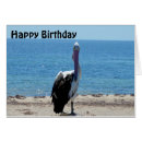 Search for big bird cards Beach