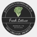 Search for lettuce Fresh