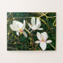 Search for magnolia puzzles Floral
