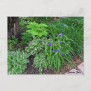Search for purple garden flowers postcards Green