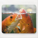 Search for carp mousepads Swimming