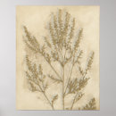 Search for foliage posters Woodland