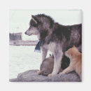 Search for litter magnets Animal