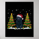 Search for newfoundland dog posters Funny