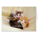 Search for cat dad birthday cards Kitten