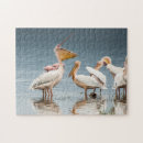 Search for pelican puzzles Blue