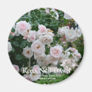 Search for dawn magnets Flower
