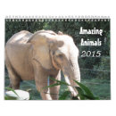Search for zoo animal calendars Safari