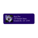 Search for pansy flower return address labels Floral