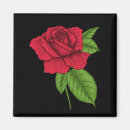 Search for rose tattoo magnets Floral