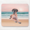 Search for sitting mousepads Beach