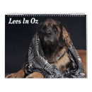 Search for leonberger Dogs