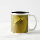 Search for smith mugs Nature