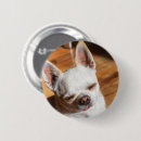 Search for chihuahua badges Adorable