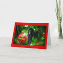 Search for toy poodle christmas cards Animals