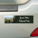 Search for cacti bumper stickers Saguaro