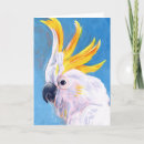 Search for mohawk Cockatoo