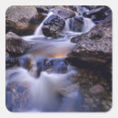 Search for creek fall stickers Stream