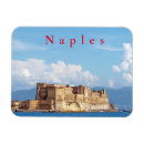 Search for naples magnets Architecture