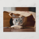 Search for bag postcards Brown