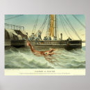 Search for squid Antique