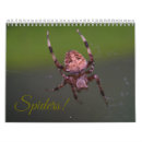 Search for spider calendars Arachnids