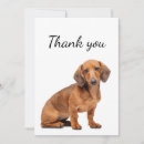 Search for dachshund art cards Pet