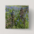 Search for bluebonnet badges Colourful