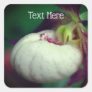 Search for orchid flower stickers Floral