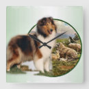 Search for collie clocks Cute