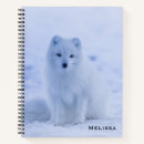 Search for arctic fox Cute animal