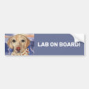 Search for labrador bumper stickers Yellow labrador retriever