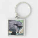 Search for cute dolphin key rings Nature