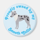 Search for collies magnets Cartoon